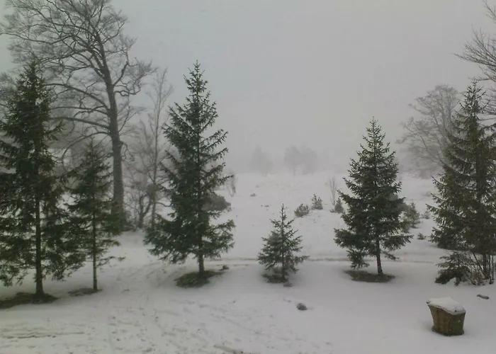 Tatil Evi Matanovi Dvori *